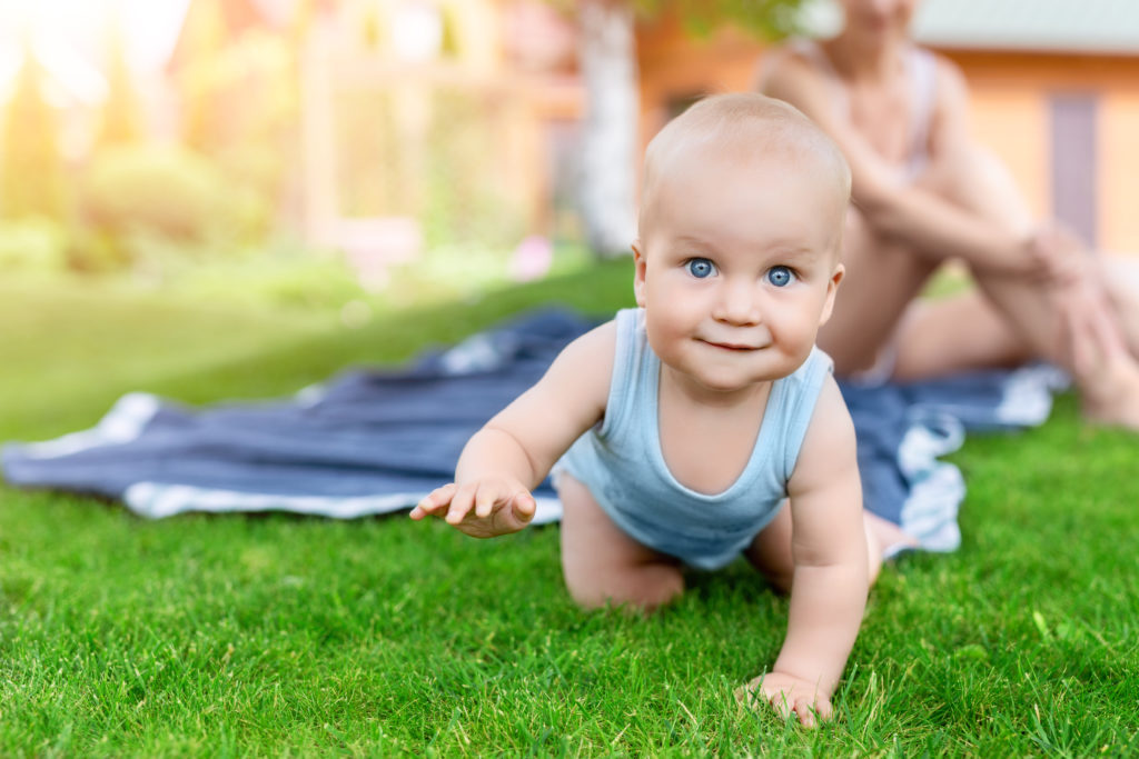 shutterstock_1261542250